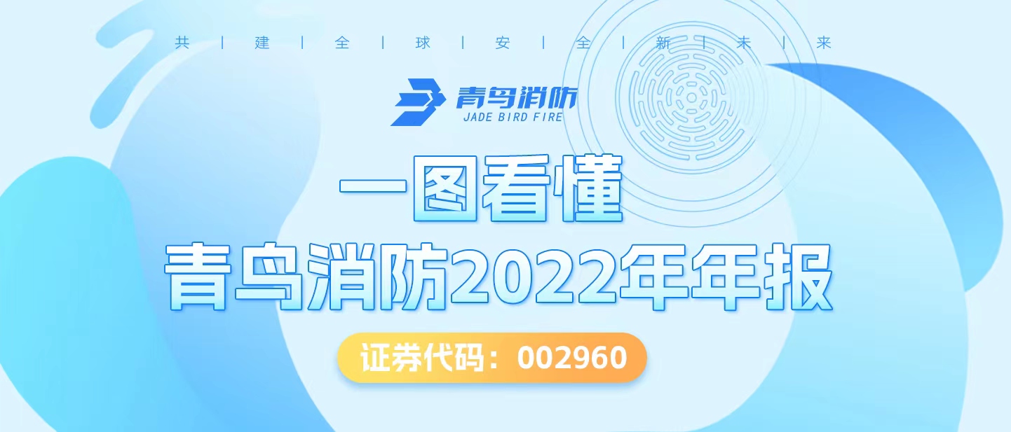 一图看懂z6com·尊龙凯时2022年年报